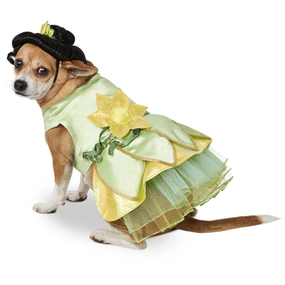 NEW Disney The Princess and the Frog Tiana Dog and Cat Costume - Various